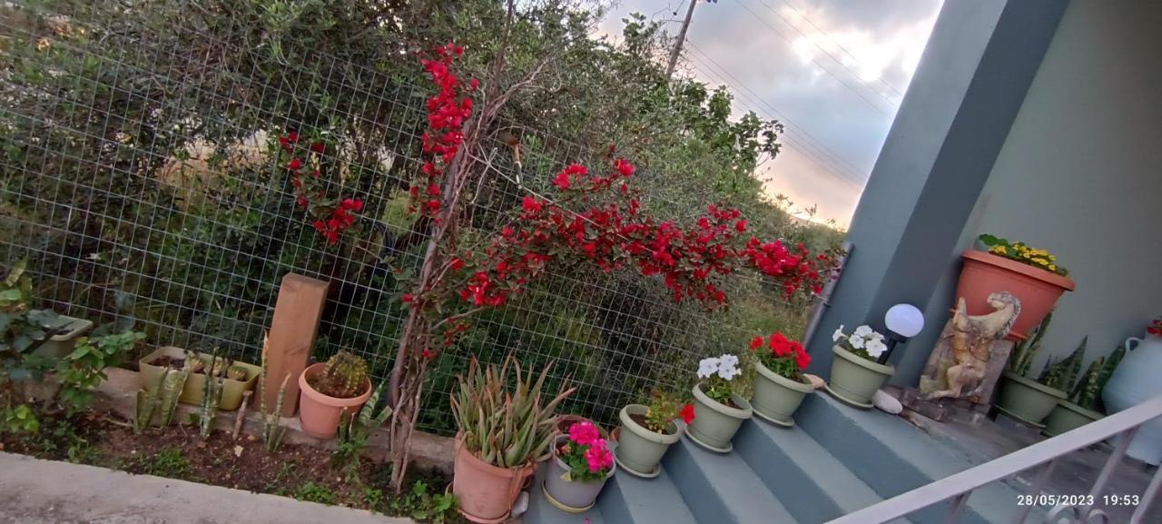 Villa Marilidiahouse Tzigkouna Esterno foto